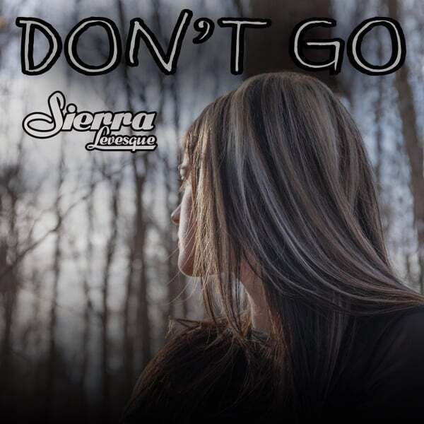 Cover art for DON'T GO